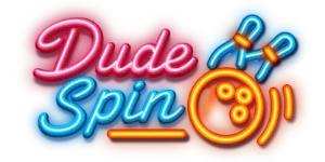 DudeSpin logo